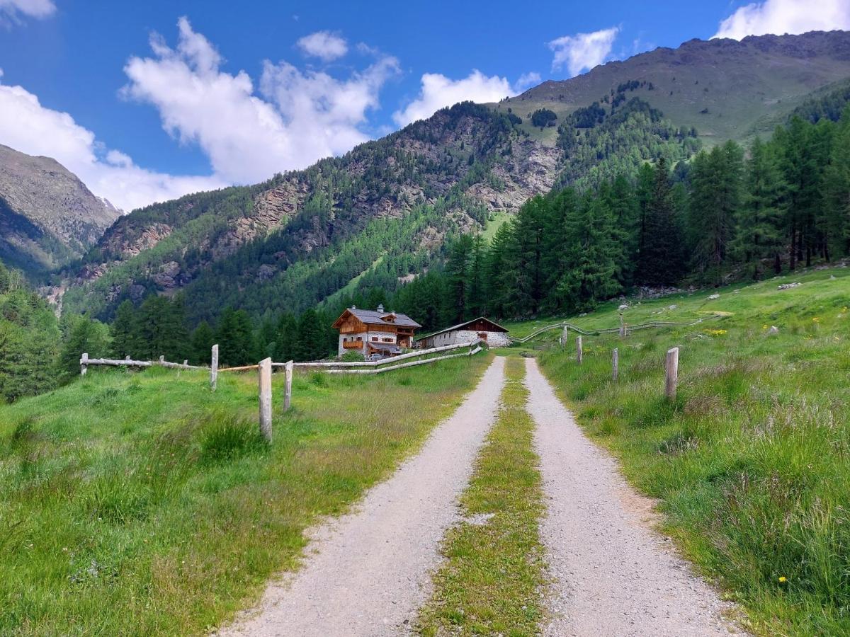 Malga Pontevecchio Farm stay