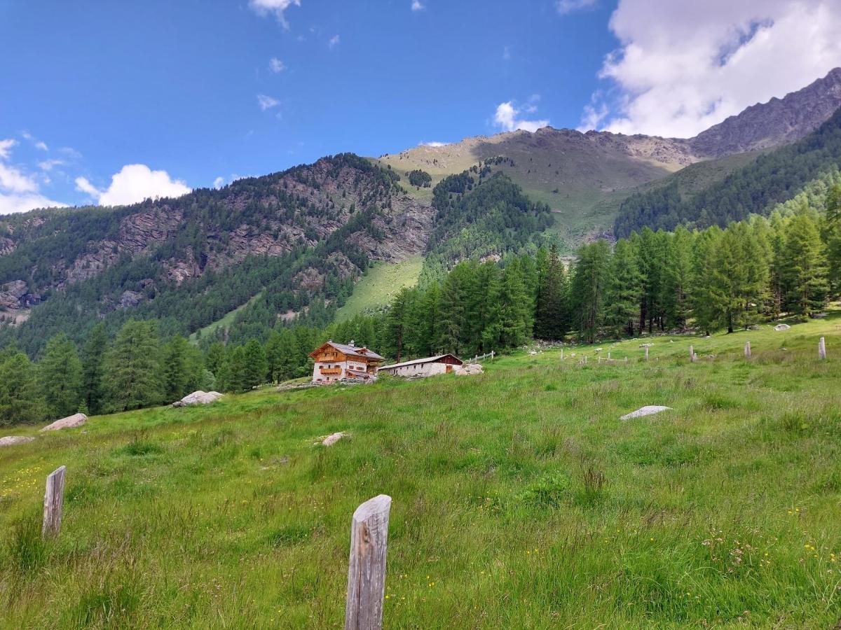 Malga Pontevecchio Agroturismo *