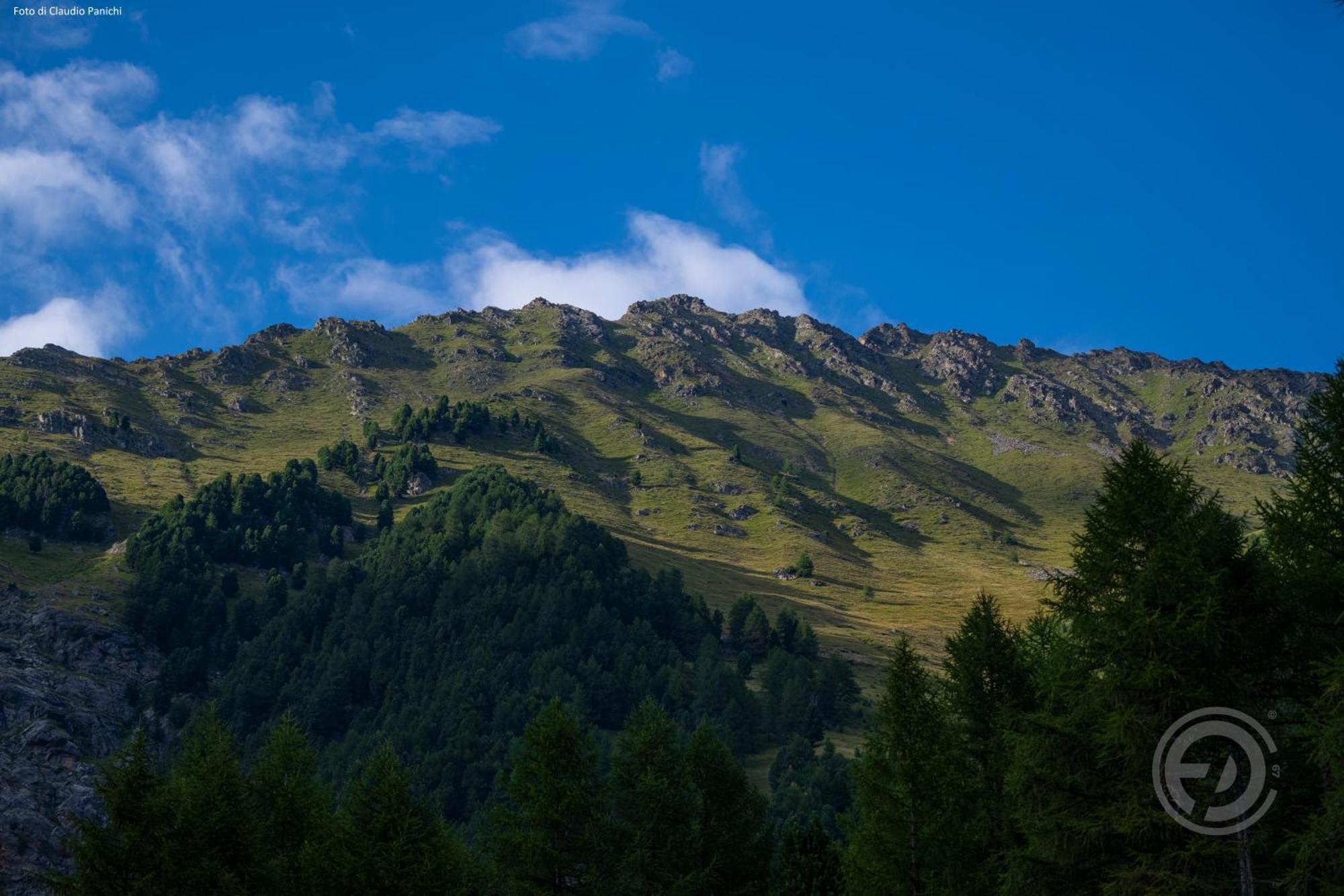 Agroturismo Malga Pontevecchio *